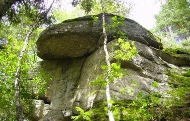 Granitblöcke im Wald
